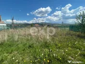 TEREN INTRAVILAN 600 MP – Cristian - Brasov - 85000 Euro.