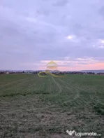 TEREN INTRAVILAN IN LILIECI, BACAU