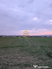 TEREN INTRAVILAN IN LILIECI, BACAU 