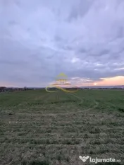 TEREN INTRAVILAN IN LILIECI, BACAU 