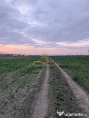 TEREN INTRAVILAN IN LILIECI, BACAU 