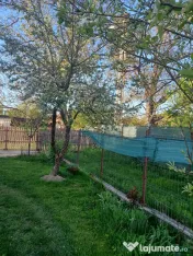 Casa la curte Livezeni Arges 