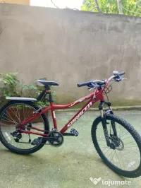 Bicicleta Mountain bike 