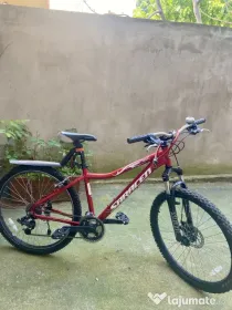Bicicleta Mountain bike