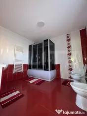 2 case spațioase în Ocna Dejului – 300 mp utili + 150 t 