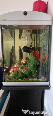 Acvariu complet utilat 60 litri cu suport 