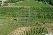 Oportunitate de investitie - Teren de vanzare I 4 ha I ce... 
