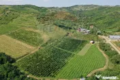 Oportunitate de investitie - Teren de vanzare I 4 ha I ce...