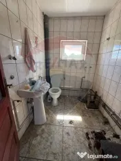 Casa de vacanta cu 8300 mp teren, de vanzare in Preluca N... 