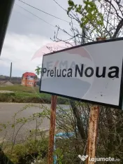 Casa de vacanta cu 8300 mp teren, de vanzare in Preluca N... 