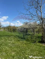 DE VANZARE PROPRIETATE DEOSEBITA LA TARA 