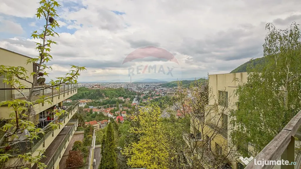 Poziție, priveliște, terasă uriașă, în Bellevue Res...