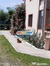 SABIESTI-RACARI- 45 min de Bucuresti 