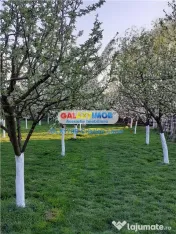 SABIESTI-RACARI- 45 min de Bucuresti 