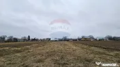 Casă / Vilă cu 12 camere, teren intravilan de 2869mp î...
