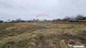 Casă / Vilă cu 12 camere, teren intravilan de 2869mp î...