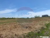 De vânzare teren intravilan 1,955mp , Paleu 