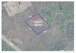 De vânzare teren intravilan 1,955mp , Paleu