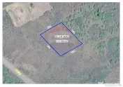 De vânzare teren intravilan 1,955mp , Paleu 