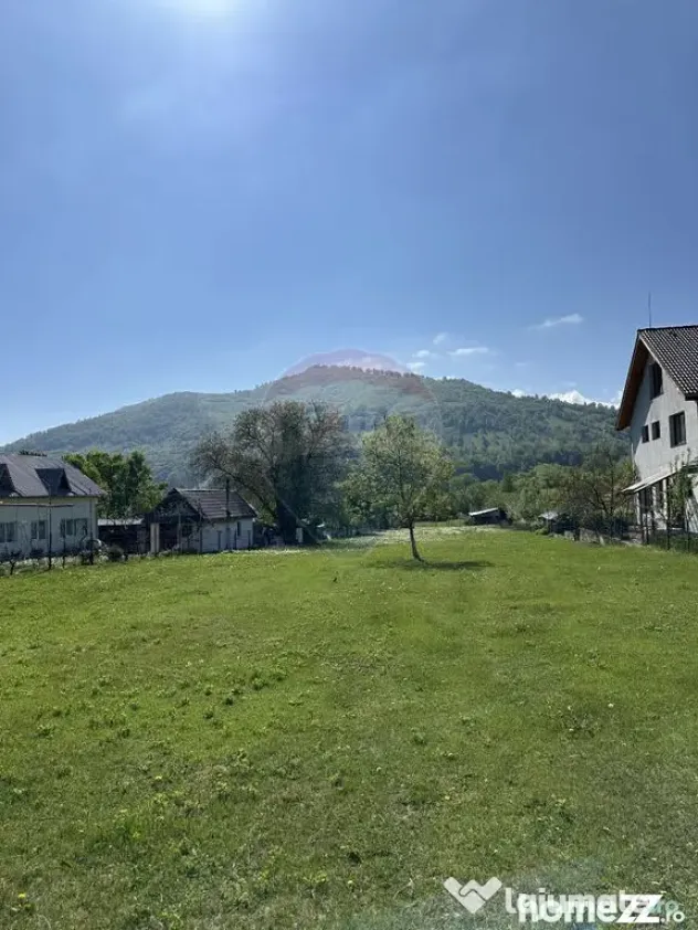 Teren Pangarati / DN Pangarati - Pangarati (Neamt)