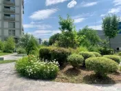 Herastrau_Aviatiei Park 2 camere 