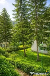 Apartament 2 camere,luminos,incadrat de liniste si verdele n 