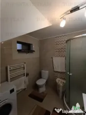 Casa deosebita P 1 cu 4 camere, foisor in curte si garaj, in 