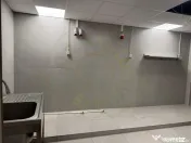 Spatiu comercial si de productie alimentara, Piata Victoriei 