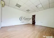 Casa pentru birouri, curte generoasa si 10 pacari zona Paris 