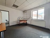 Casa pentru birouri, curte generoasa si 10 pacari zona Paris 