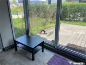 Apartament de inchiriat