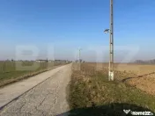 Ferma de nuci - teren agricol 