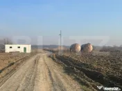 Ferma de nuci - teren agricol 
