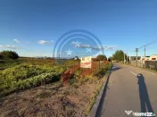 Teren de vanzare/Hanul cu Ponei/Carcea 