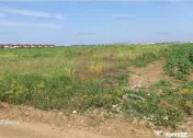 Teren, zona Dobroesti Pantelimon