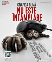 Graphic Designer Freelancer, Grafica digitala, print digital 