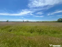 Teren extravilan de vanzare, 6200 mp, in spate la Jumbo
