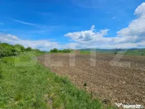 Teren Agricol 58 ar in Blajenii de Jos