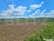Teren Agricol 58 ar in Blajenii de Jos 