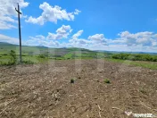 Teren Agricol 58 ar in Blajenii de Jos 