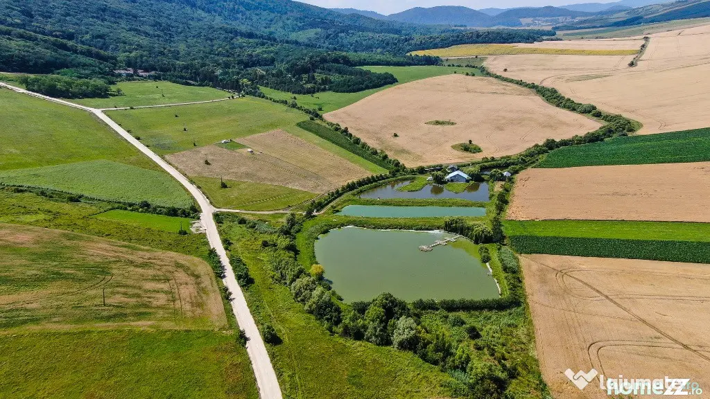 Proprietate spectaculoasă de 31.500 mp, cu iazuri și case locuibile