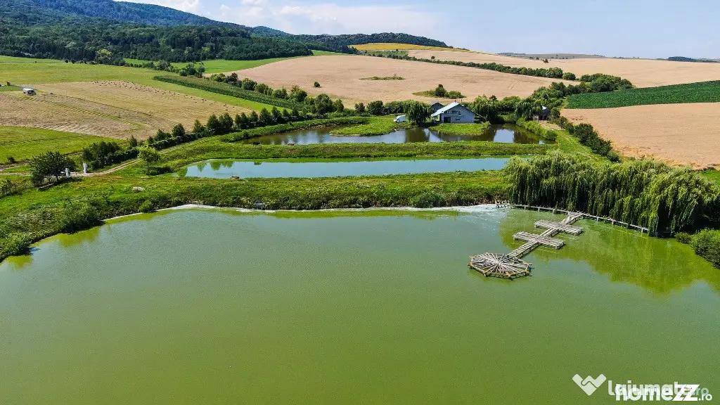 Proprietate spectaculoasă de 31.500 mp, cu iazuri și case locuibile