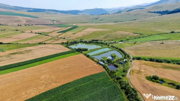 Proprietate spectaculoasă de 31.500 mp, cu iazuri și case locuibile
