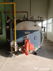 Cazan abur LOSS 1600 kg/h 