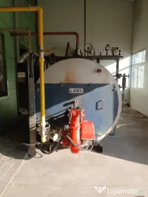 Cazan abur LOSS 1600 kg/h