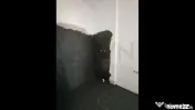 Garsoniera - Bloc Nou - Metro Voluntari 