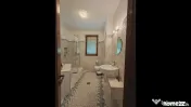 Vila Spectaculoasa Corbeanca 