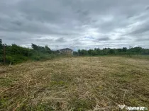 Teren Sisesti Sector 1