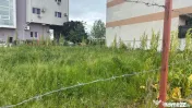 Teren Sisesti Sector 1 