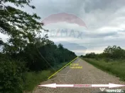 Teren 3,700mp Gulia/DN7 -20 km fata de Pta Victoriei -ide... 